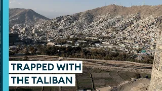 Afghanistan: The desperate wait to flee the Taliban