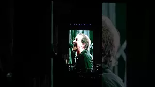 Pearl Jam Live at Lollapalooza Brasil 2018