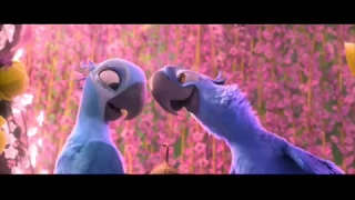 Rio 2 ~Blu Dream Scene