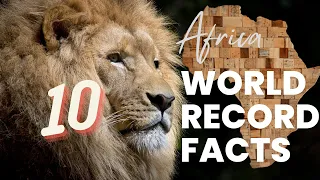 OMG! 10 Africa Amazing, Surprising, and Interesting World Record Facts