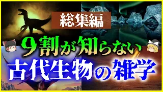 【ゆっくり解説】【総集編】眠れないほど面白い「古代生物の雑学」6選を解説/最古の海、大量絶滅、微化石、翼竜他【作業用】【睡眠用】