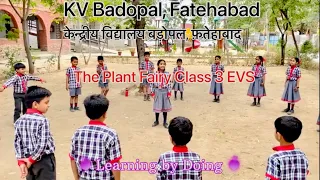 The Plant Fairy 🧚 Class III EVS