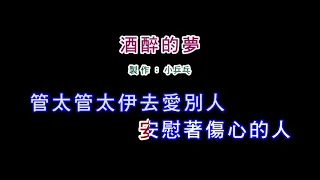(伴奏版)江蕙-酒醉的夢(DIY卡拉OK字幕)
