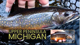 Hunting for brookies | UP Trout Opener