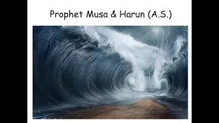 Part 17 - Prophet Musa & Harun p2 -The Stories of the Prophets of Allah mentioned in the Holy Quran