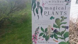 First Book Review.... The Witches Encyclopedia of Magical Plants by Sandra Kynes