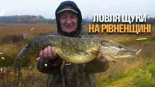 ЗЛОВИЛИ КРУПНУ ЩУКУ НА РІВНЕНЩИНІ. ОСІННЯ РИБОЛОВЛЯ 2022