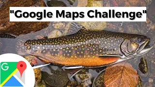 BACKCOUNTRY Fly FISHING for NATIVE Maine BROOK TROUT!! “Google Maps Challenge”