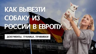 КАК ПЕРЕВЕЗТИ СОБАКУ ИЗ РОССИИ В ЕВРОПУ. Международный паспорт, чипирование, сертификаты, прививки