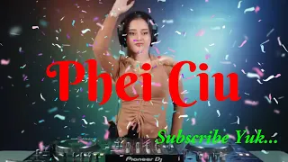 Phei Ciu [ Nada Cewek Karaoke & Lirik Versi Dangdut Non Vokal ]