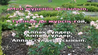 Караоке Ақбаота Керімбекова Аппақ гүлдер