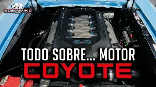 Ford Coyote (La Nueva #Estrella) Su Historia y porque es tan bueno.. #Coyote #5.0 #Ford #Predator