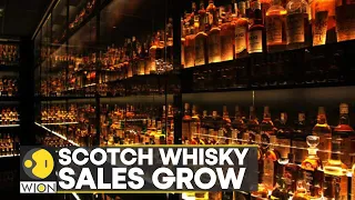 World Business Watch | Scotch whisky volumes jump by almost a quarter | International News | WION