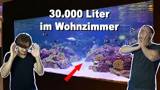 AQUARIEN TRAUMHAUS - 37.000 Liter Meerwasseraquarien *crazy*