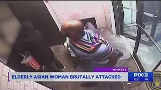 Elderly Asian woman brutally attacked