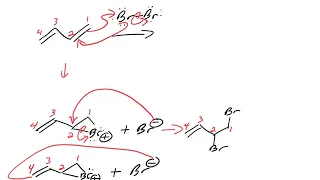 Br2 addition to a conjugated diene-1,2 and 1,4 (conjugate) addition reactions