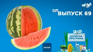 Как выбрать вкусный арбуз | «ПОЛЕЗНАЯ ПРОГРАММА». Выпуск 69 — 27.08.2020