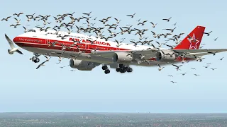 MASSIVE BIRD-STRIKE ATTACK BOEING 747 | X-PLANE 11