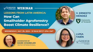 Lessons from Latin America: How Can Smallholder Agroforestry Boost Climate Resilience?