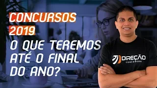 Concursos 2019 - o que teremos até o final do ano? | AO VIVO