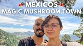 San Jose del Pacifico Oaxaca 🇲🇽 Mexico's Magic Mushroom Town