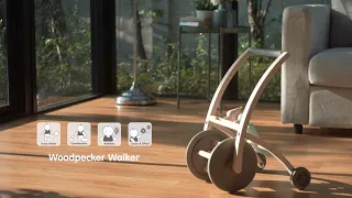 PlanToys | Woodpecker Walker