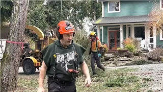 New Job? Tree Work ,Finding your place on the crew.