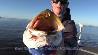 Cool weather inshore fishing, Golden Meadow, LA, Chad Billiot