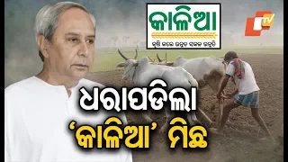 BJD caught lying over number of KALIA beneficiaries