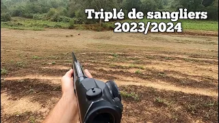 ☆battue aux sangliers - triplé de sangliers 2023/2024☆