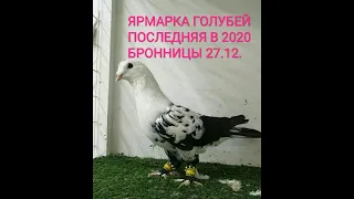 ЯРМАРКА ГОЛУБЕЙ. ЗАВЕРШАЮЩАЯ 2020#голуби#голубеводство#pigeon#tauben
