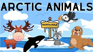 Learning Arctic Animals #learning #kidsvideo #kids