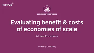 Economies of Scale - Evaluating Benefits and Costs