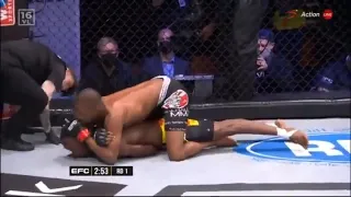 Worst MMA stoppage ever?