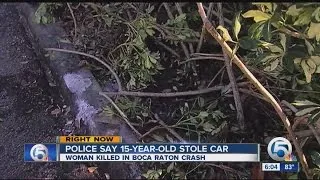 Woman dies after suspected stolen car strikes her SUV