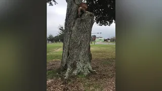 Bayou St Boom Boom