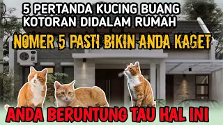 5 PERTANDA KUCING BUANG KOTORAN DIDALAM RUMAH