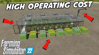 Best Producing Grape And Olive Greenhouse | Farming Simulator 22