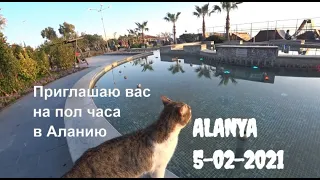 🇹🇷 ALANYA Большая прогулка 5 февраля Алания Турция Наши любимые песики и котейки