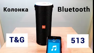 Портативная Bluetooth колонка T&G-513 [Быстрый обзор]