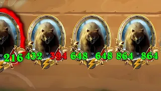 The Double Golden Papa Bear Dream Destroys All | Dogdog Hearthstone Battlegrounds