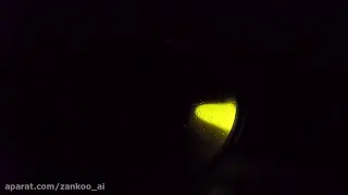 Fireflies synchronizing