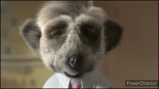 Compare The Meerkat Oleg All Adverts And Sponsorship Compilation