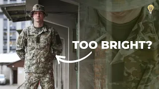 Do Lithuanian Soldiers Want The Old Uniform Back?