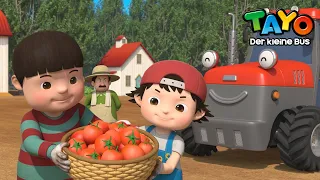 Tayo S5 Deutsch Neue Folgen - Ernten wir Gemüse vom Bauernhof! | Tayo Der Kleine Bus