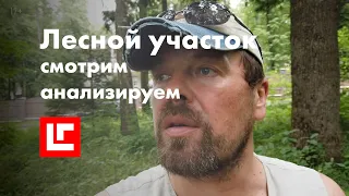 Анализ ситуации на лесном участке. Начало проектирования загородного дома. На что нужно смотреть?