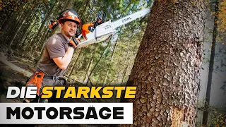 STIHL MS 881 💪😍 - Die stärkste Motorsäge am Markt