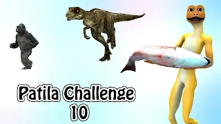 Patila Challenge 10. Patila - Missed The Stranger Gorilla & Dinosaur Funny Animated Short Film.