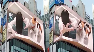 GIANT 3D Billboard in Gangnam nearSamsung LED Signage / Amazing Viral video 📸