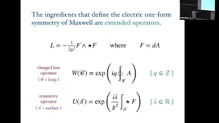 HEP Seminar - Generalized Symmetry in Dynamical Gravity